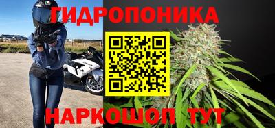 не бодяженный Шебекино