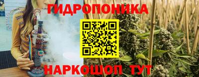 молекула духа Жуковский