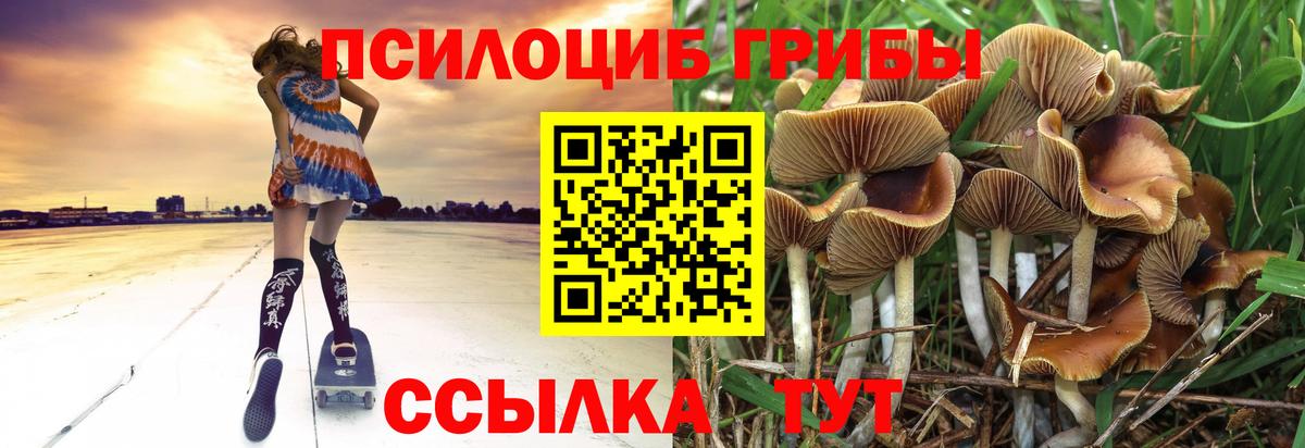 Псилоцибиновые грибы прущие грибы  что такое наркотик  Ливны  Вход с VPN  Псилоцибиновые грибы мухоморы 